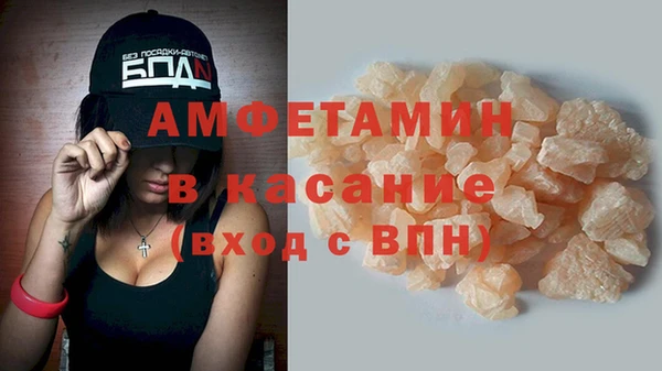 крисы Абаза