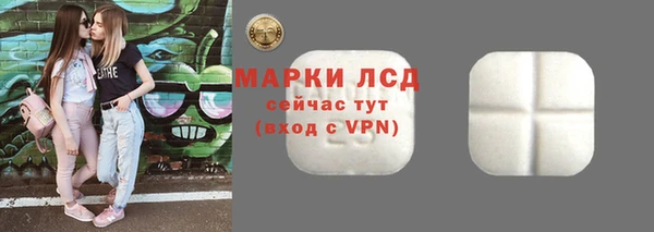 крисы Абаза