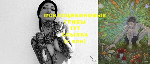 крисы Абаза