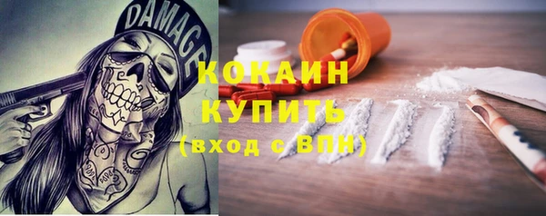 крисы Абаза