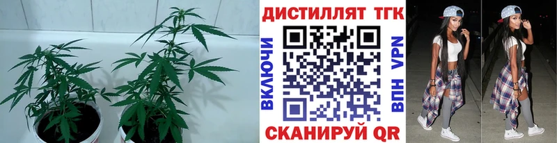 Дистиллят ТГК концентрат Рославль